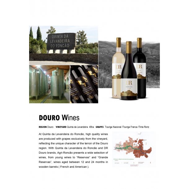 DR - Grande Reserva White 2019