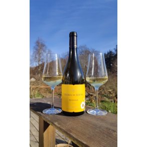 Vieira de Sousa - White Reserve 2023