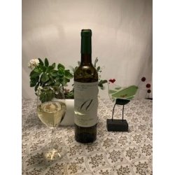 Vieira de Sousa - Alice Douro White