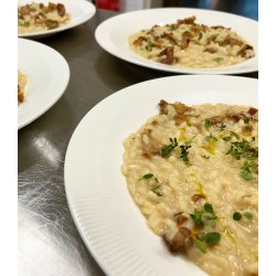 Mad og Portvin p Restaurant Linden i Holbk