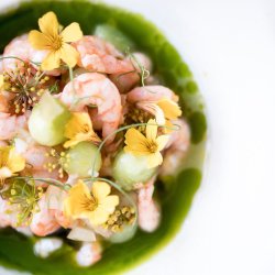 Mad og Portvin p Bandholm Badehotel